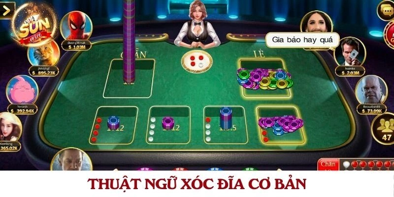 Thuật ngữ xóc đĩa cơ bản