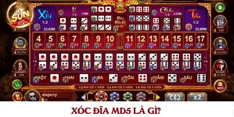 Bản chất thuật ngữ của xóc đĩa MD5